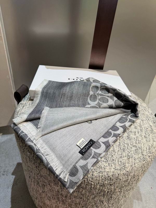 Coach  scarf 195X65cm E45 (15)