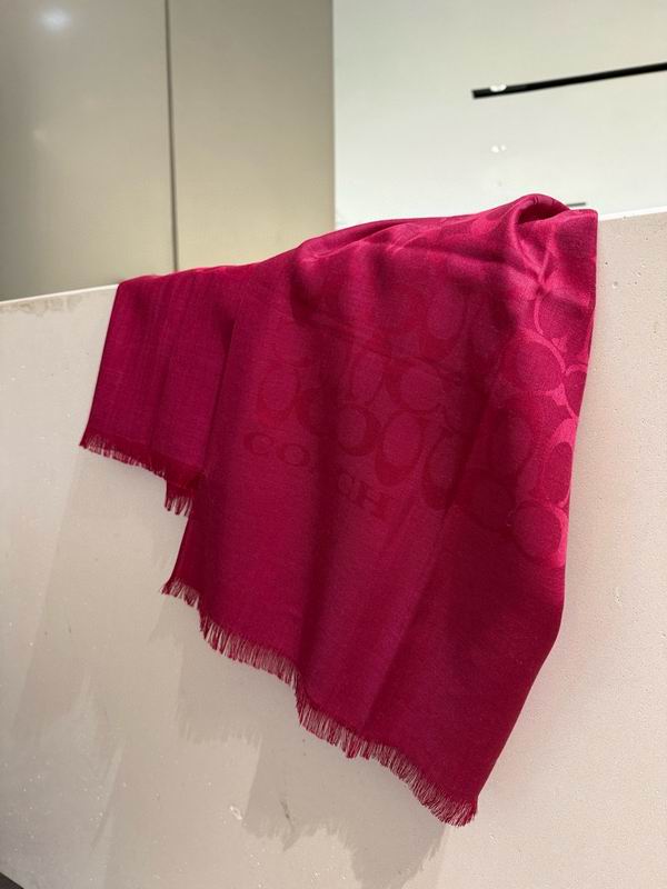 Coach  scarf 195X65cm E45 (19)