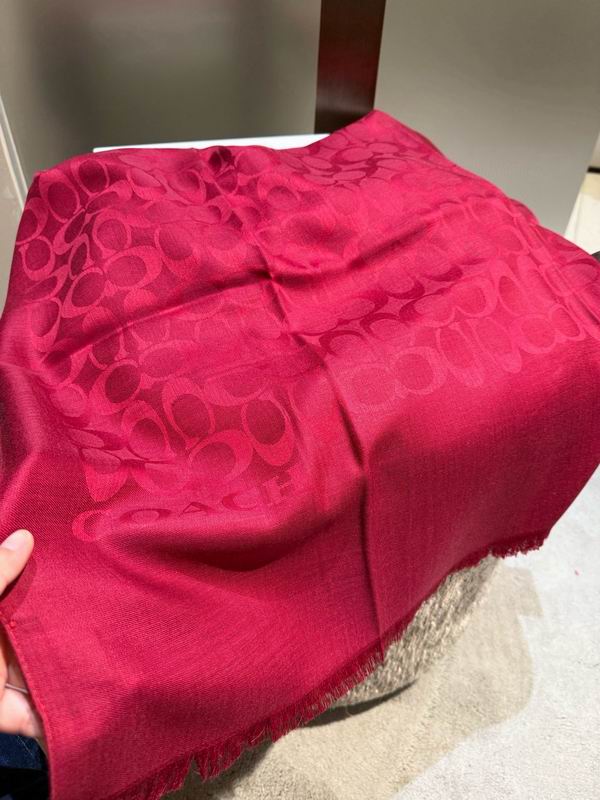 Coach  scarf 195X65cm E45 (22)