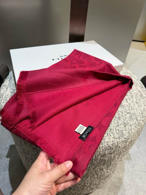 Coach  scarf 195X65cm E45 (23)