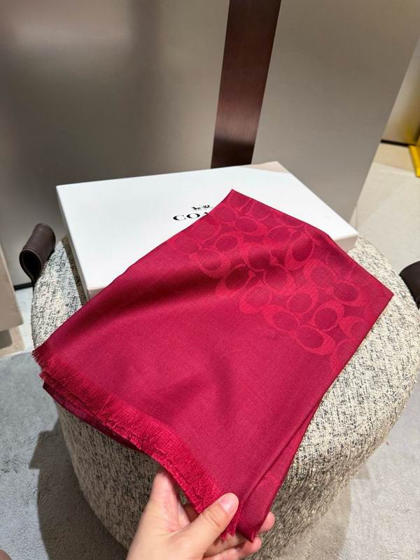 Coach  scarf 195X65cm E45 (24)