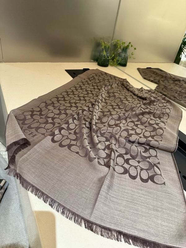 Coach  scarf 195X65cm E45 (29)