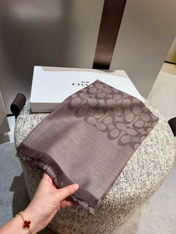 Coach  scarf 195X65cm E45 (32)