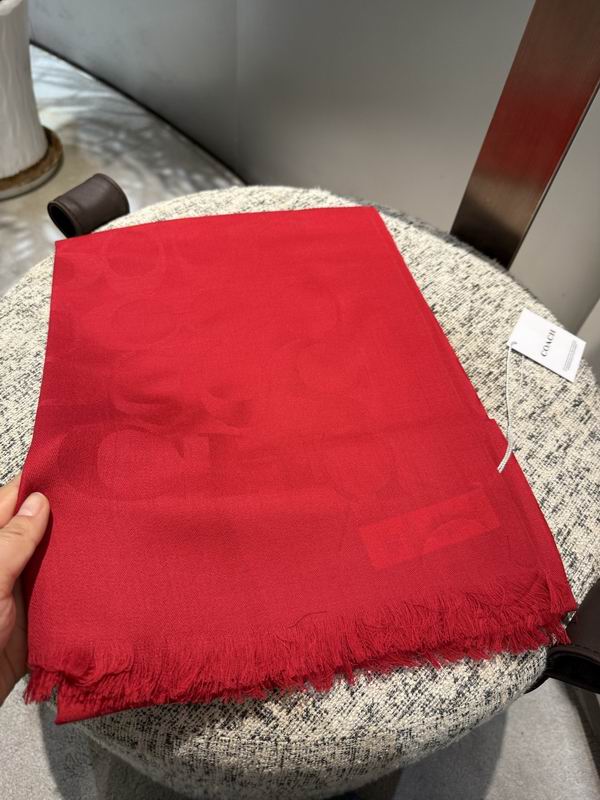 Coach  scarf 195X65cm E45 (54)