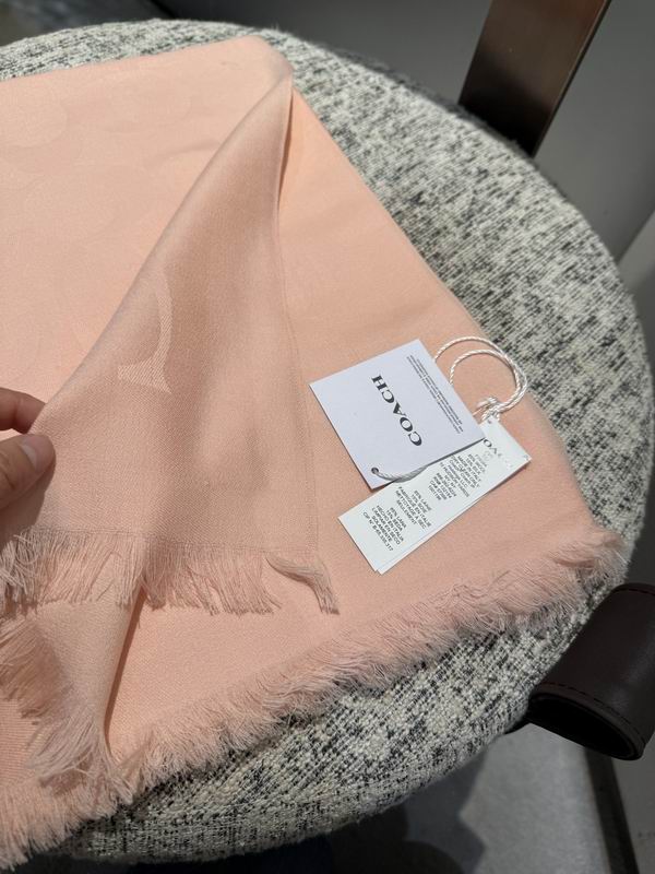 Coach  scarf 195X65cm E45 (62)