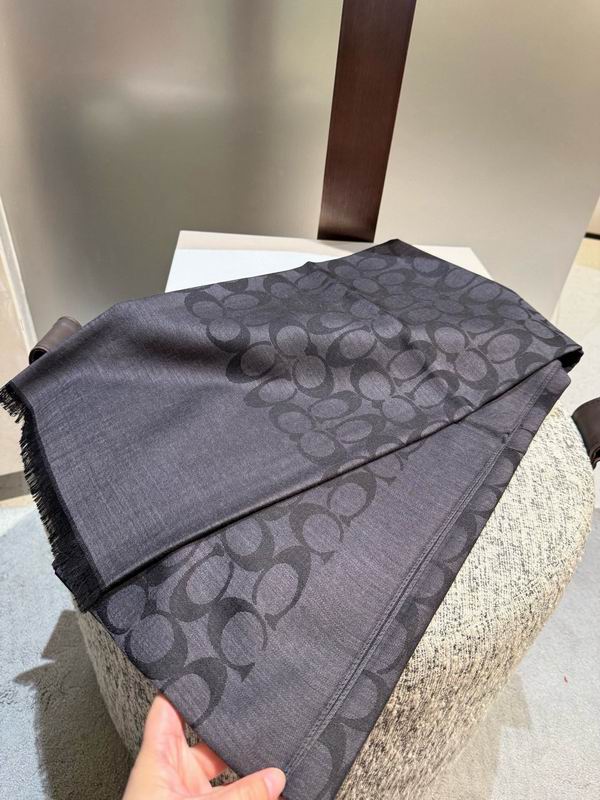 Coach  scarf 195X65cm E45 (67)