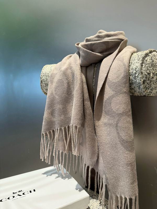 Coach Scarf 195X53cm E42 (11)