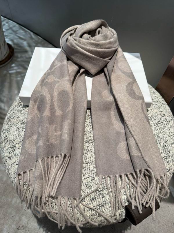 Coach Scarf 195X53cm E42 (12)