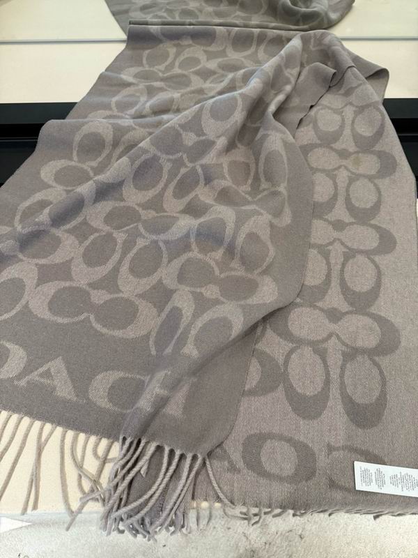 Coach Scarf 195X53cm E42 (13)