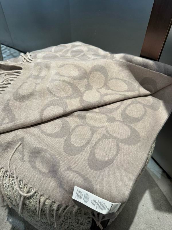 Coach Scarf 195X53cm E42 (14)