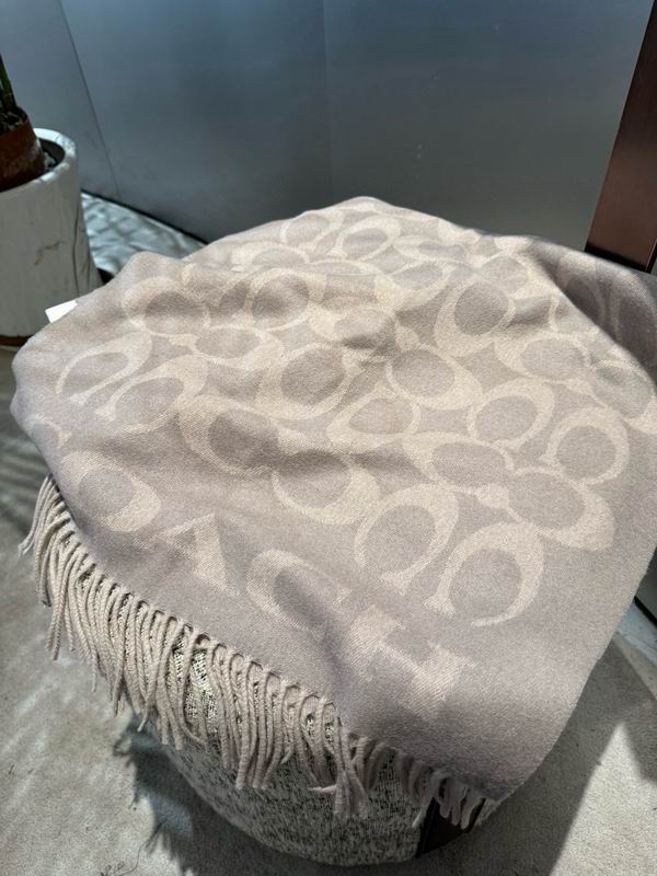 Coach Scarf 195X53cm E42 (15)