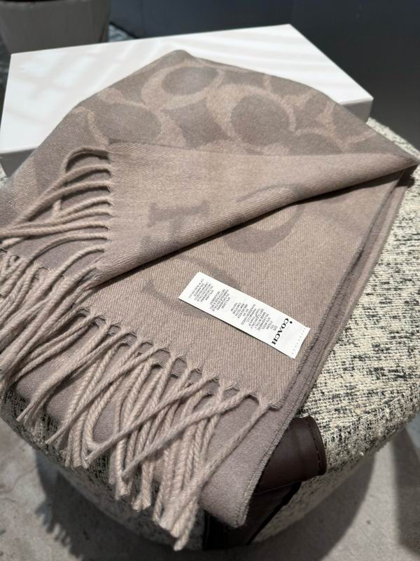 Coach Scarf 195X53cm E42 (16)