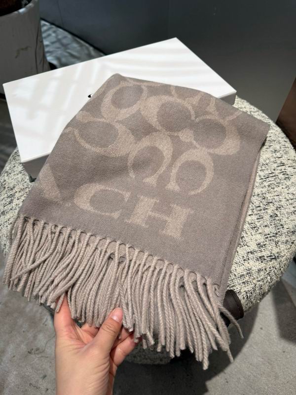 Coach Scarf 195X53cm E42 (17)