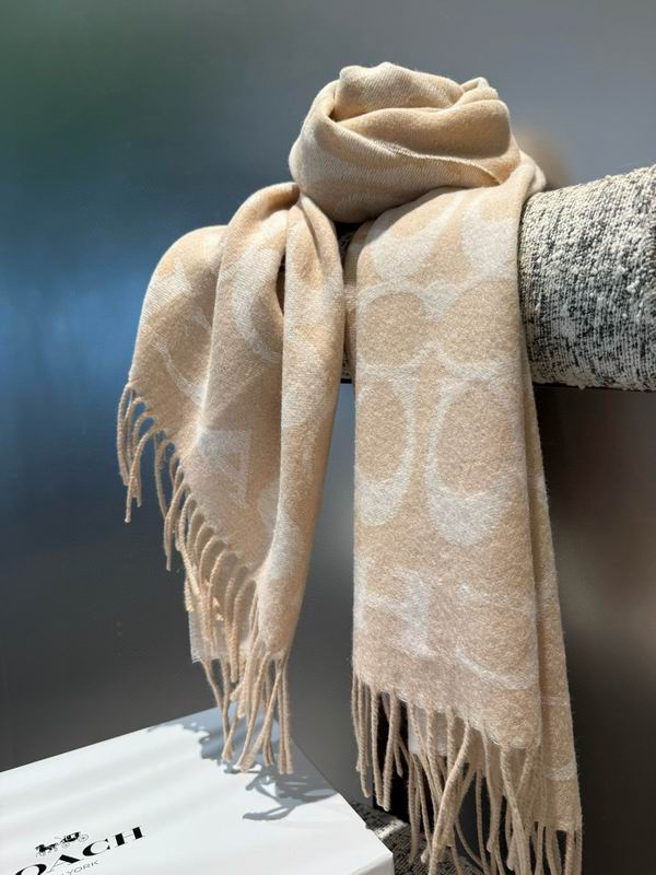Coach Scarf 195X53cm E42 (2)