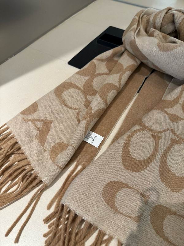Coach Scarf 195X53cm E42 (20)
