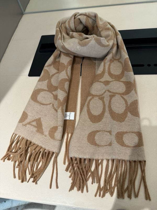 Coach Scarf 195X53cm E42 (21)
