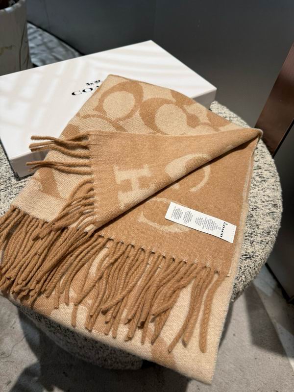 Coach Scarf 195X53cm E42 (22)