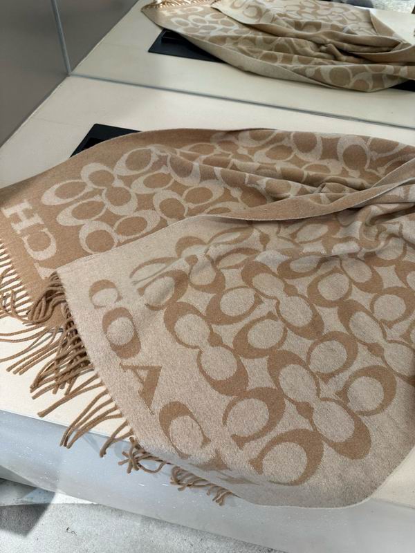 Coach Scarf 195X53cm E42 (23)