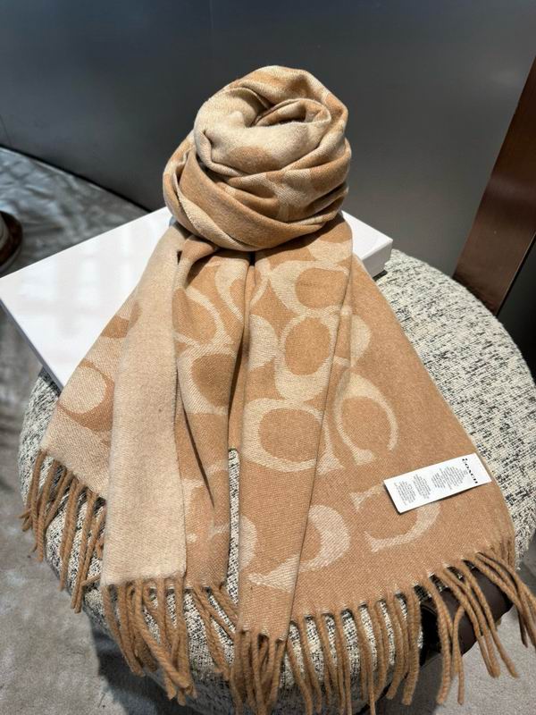 Coach Scarf 195X53cm E42 (24)