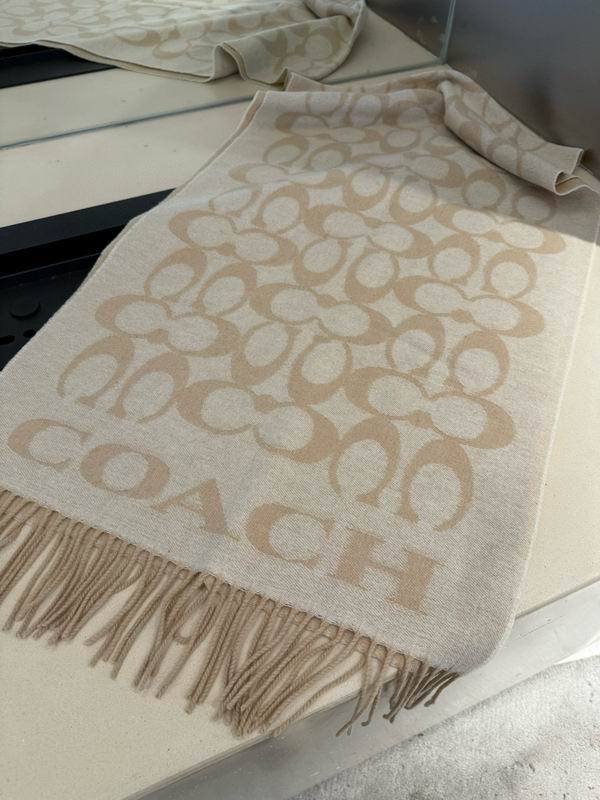 Coach Scarf 195X53cm E42 (5)