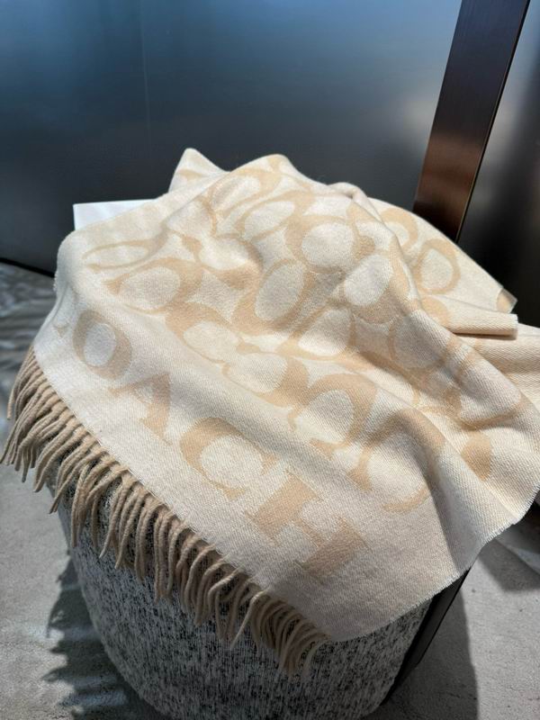 Coach Scarf 195X53cm E42 (6)