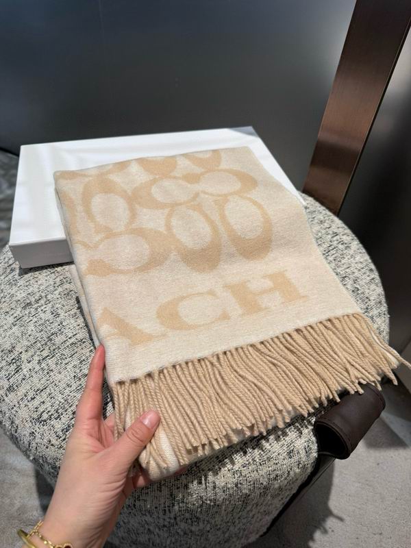 Coach Scarf 195X53cm E42 (8)