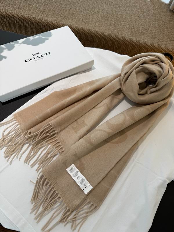 Coach Scarf 195X53cm E60 (11)