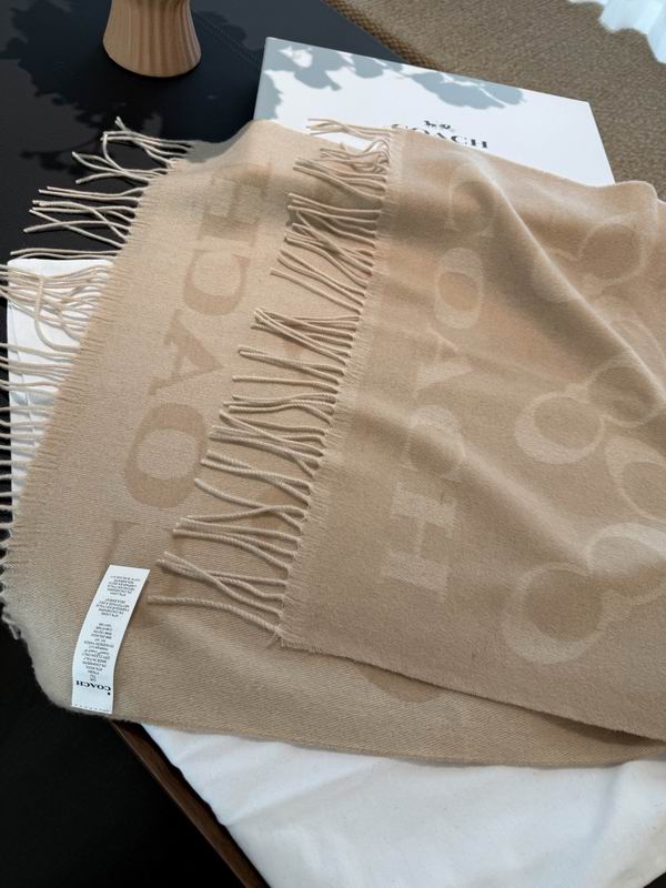 Coach Scarf 195X53cm E60 (12)