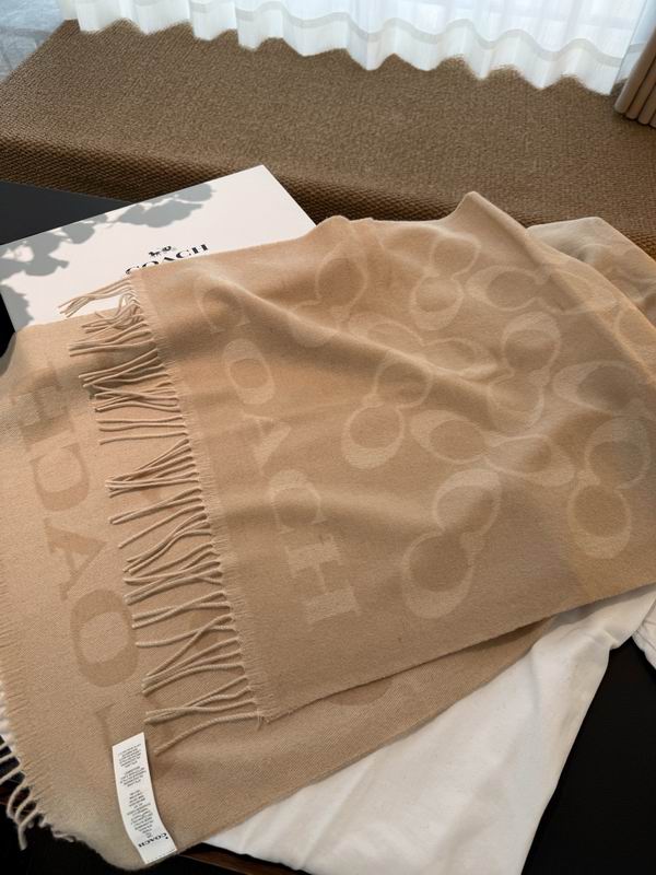 Coach Scarf 195X53cm E60 (13)