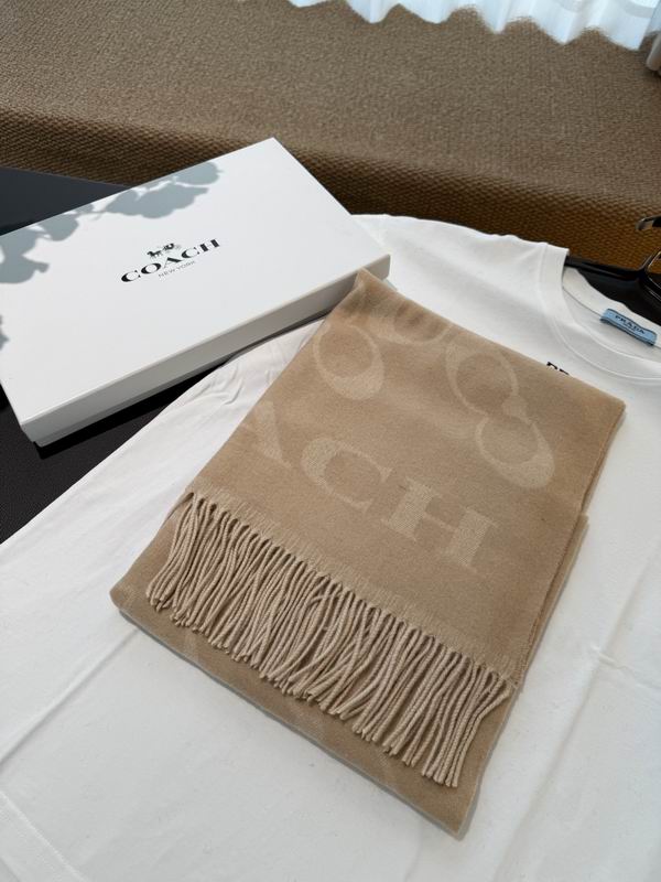 Coach Scarf 195X53cm E60 (15)