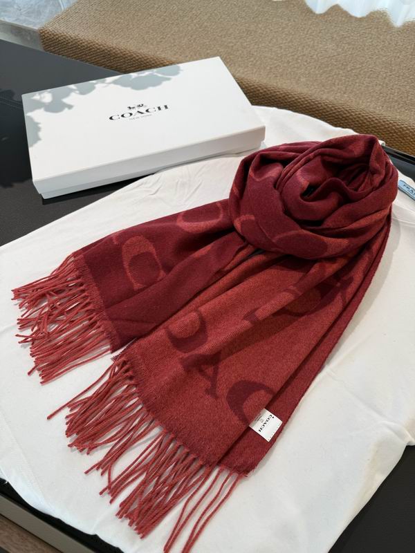 Coach Scarf 195X53cm E60 (2)
