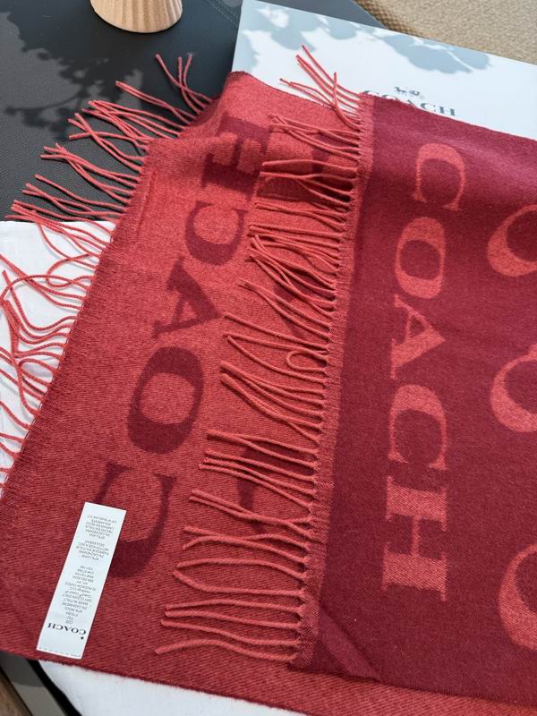 Coach Scarf 195X53cm E60 (3)