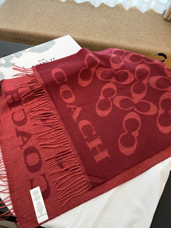 Coach Scarf 195X53cm E60 (4)