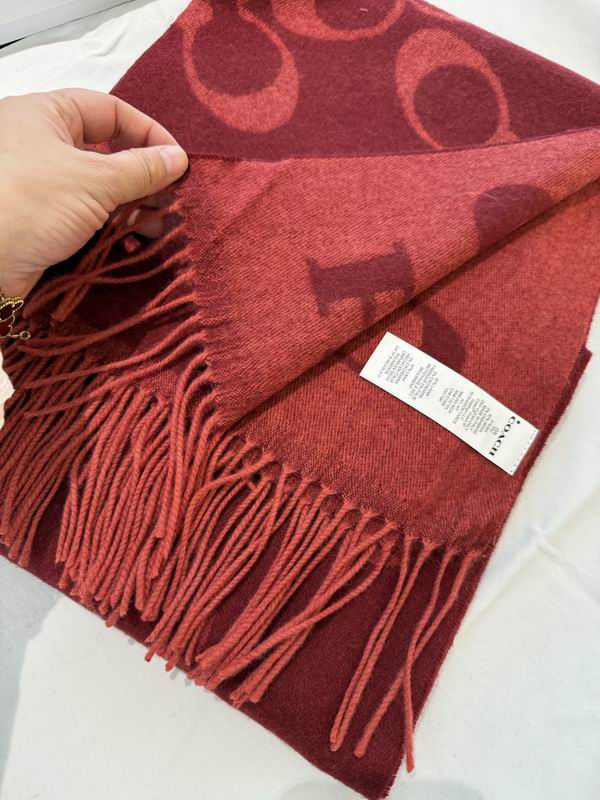 Coach Scarf 195X53cm E60 (5)
