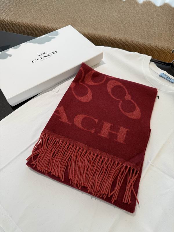Coach Scarf 195X53cm E60 (6)
