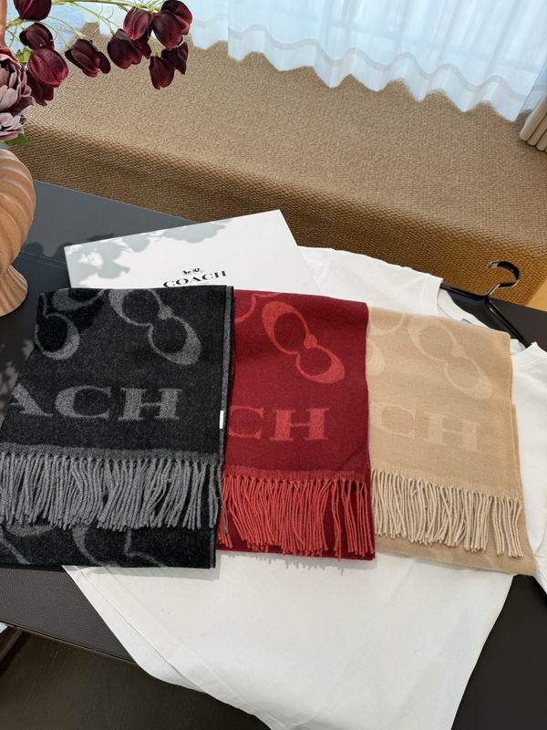 Coach Scarf 195X53cm E60 (9)