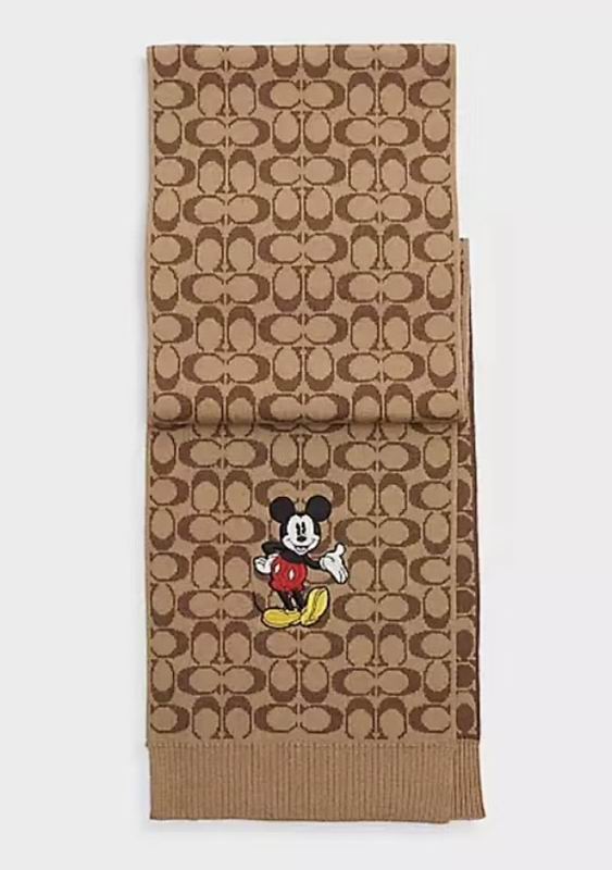 Coach Scarf hm (1)