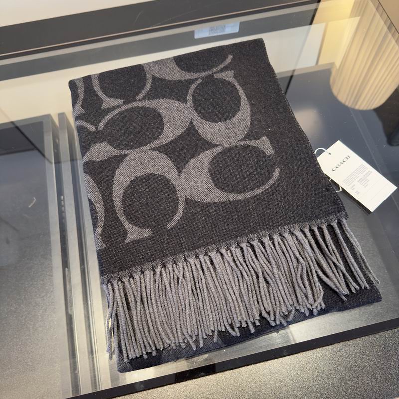 Coach Scarf hm (12)