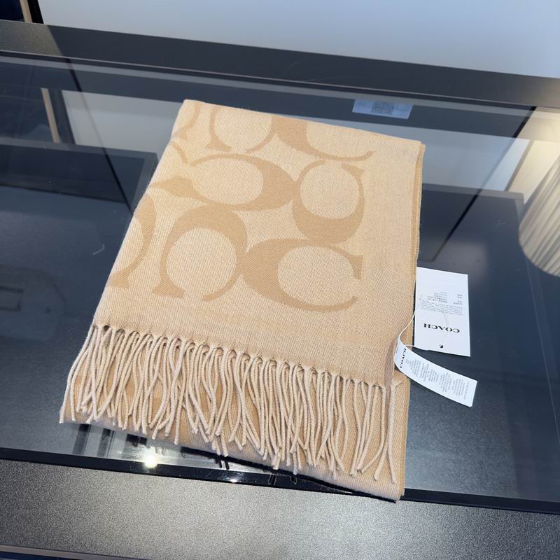 Coach Scarf hm (15)