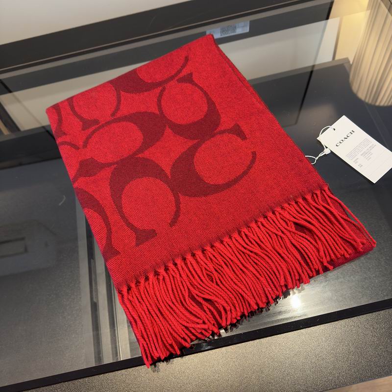 Coach Scarf hm (18)