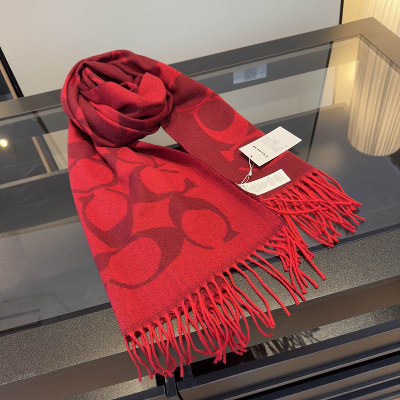Coach Scarf hm (20)
