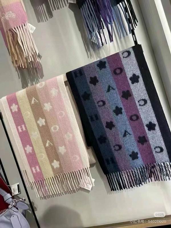 Coach Scarf hm (21)
