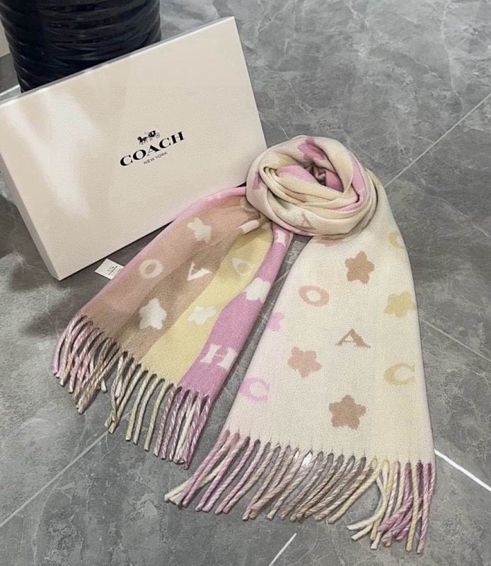 Coach Scarf hm (25)