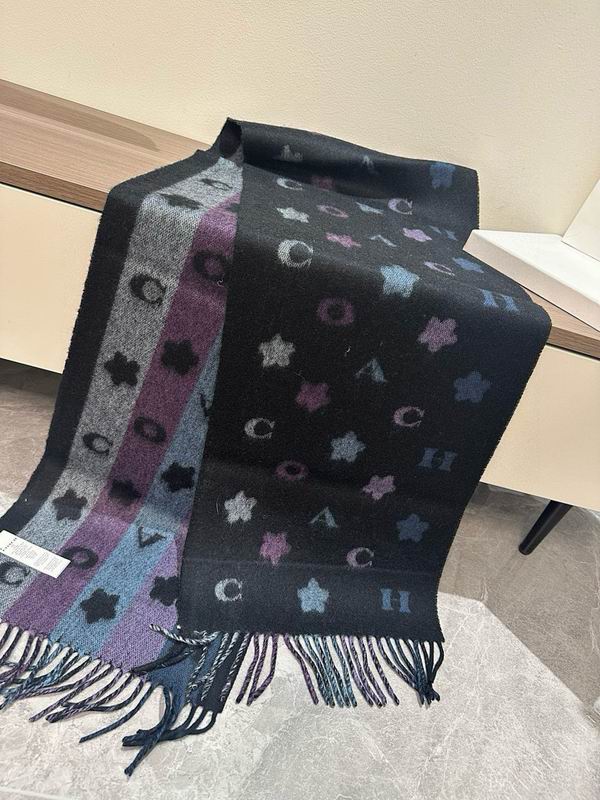 Coach Scarf hm (28)
