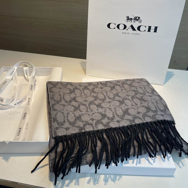 Coach Scarf hm (31)
