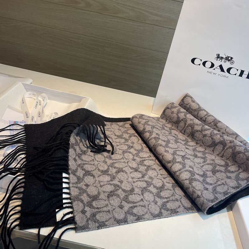 Coach Scarf hm (32)