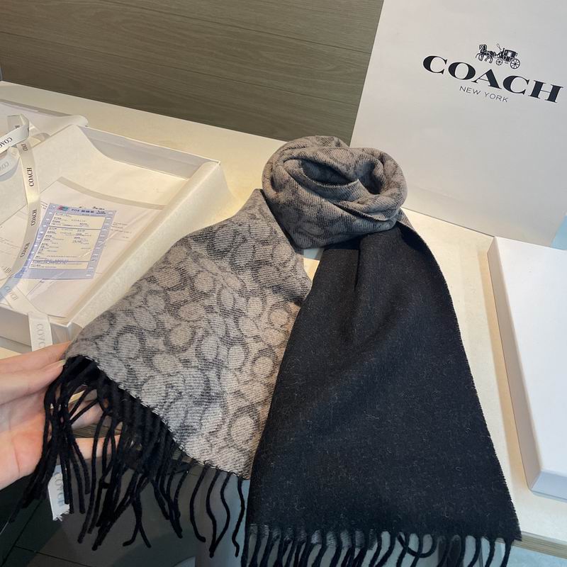 Coach Scarf hm (33)