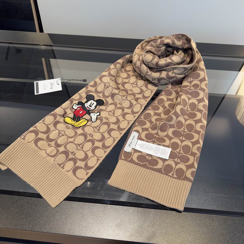 Coach Scarf hm (4)