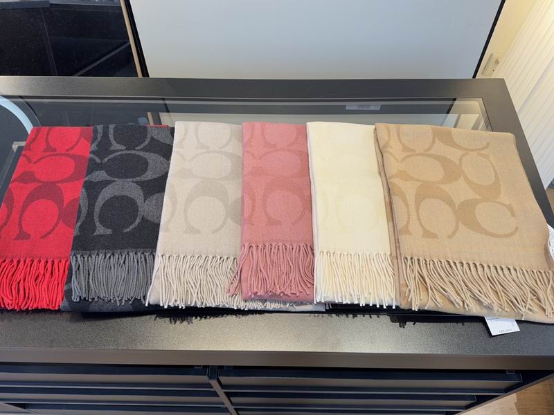 Coach Scarf hm (5)