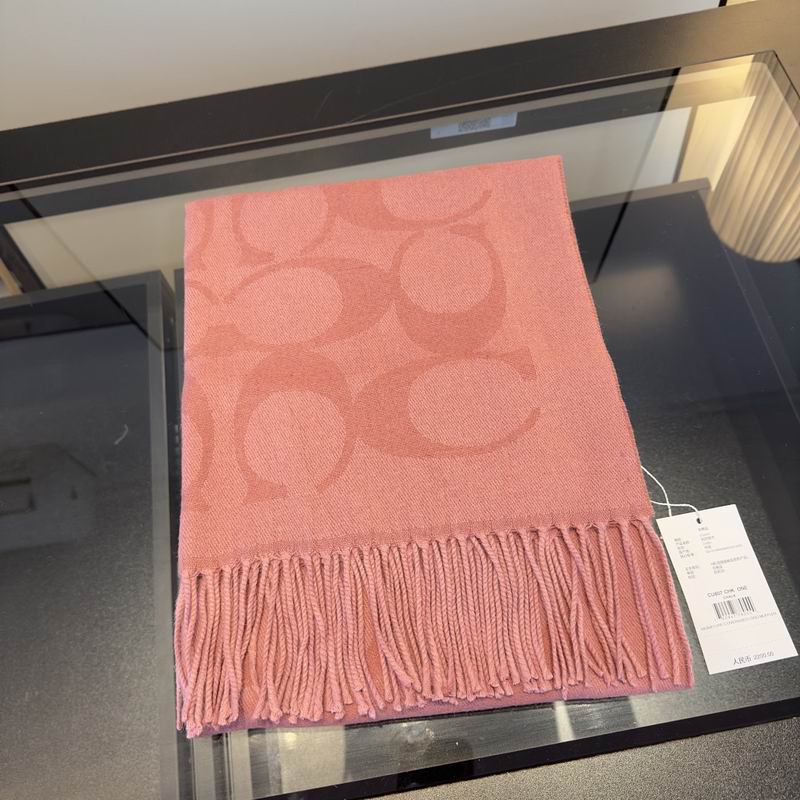 Coach Scarf hm (6)